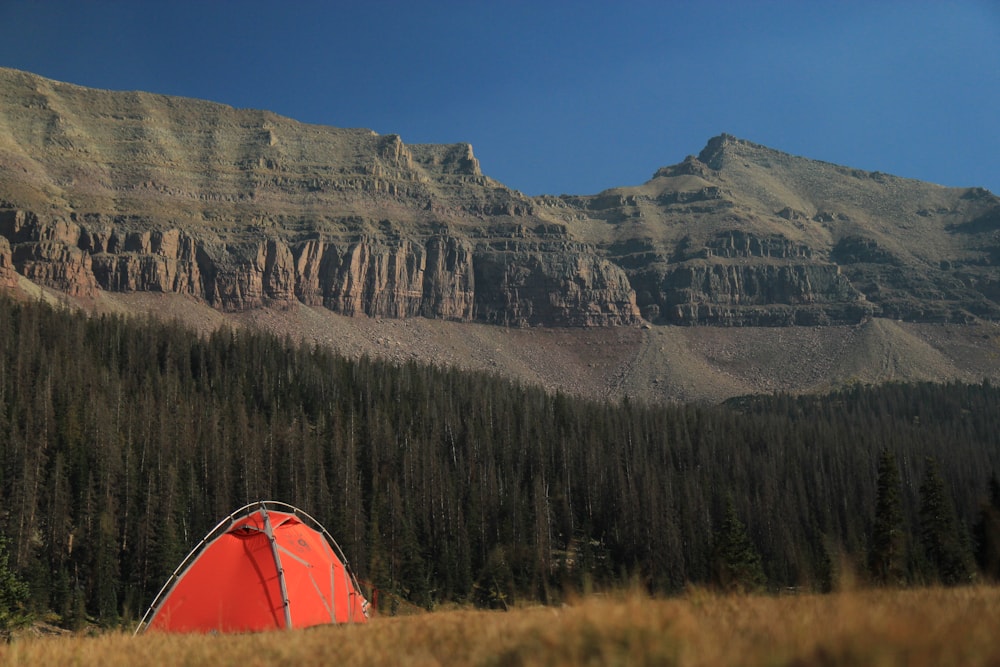Pinède du camping Larrouleta